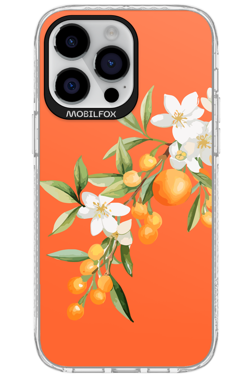 Amalfi Oranges - Apple iPhone 14 Pro Max