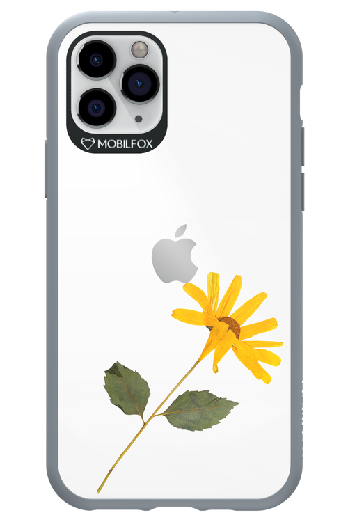 Pressed Flower - Apple iPhone 11 Pro
