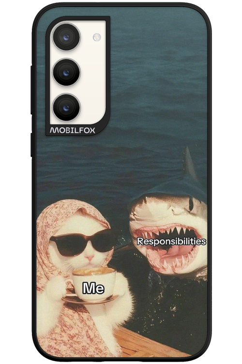Responsibilities - Samsung Galaxy S23 Plus
