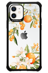 Amalfi Orange - Apple iPhone 12