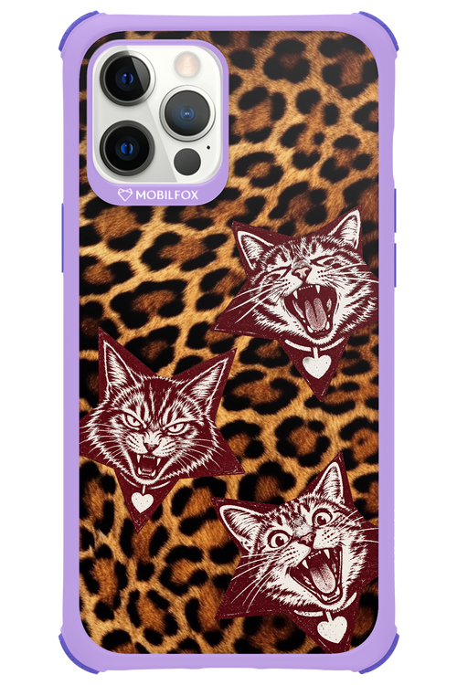 Cats and Chaos 2.0 - Apple iPhone 12 Pro Max