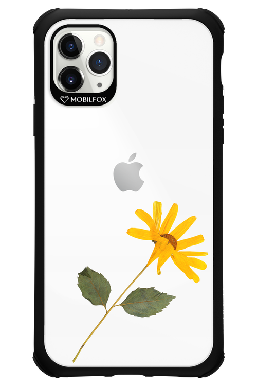 Pressed Flower - Apple iPhone 11 Pro Max
