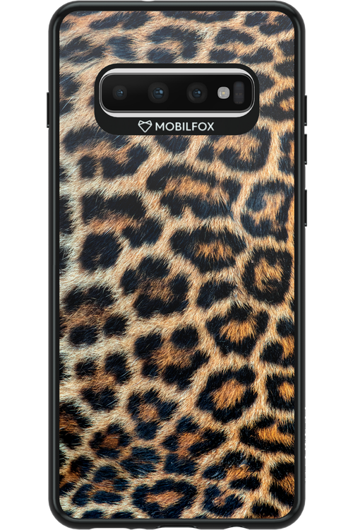 Leopard - Samsung Galaxy S10+