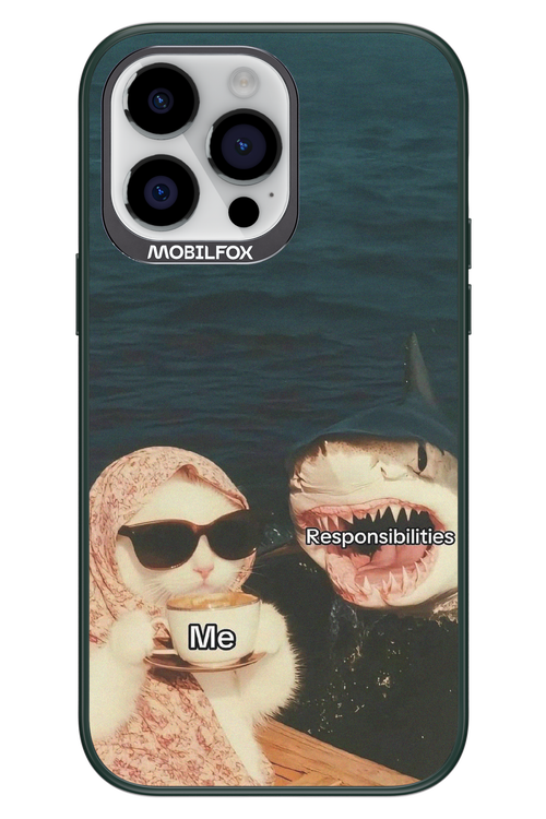 Responsibilities - Apple iPhone 14 Pro Max