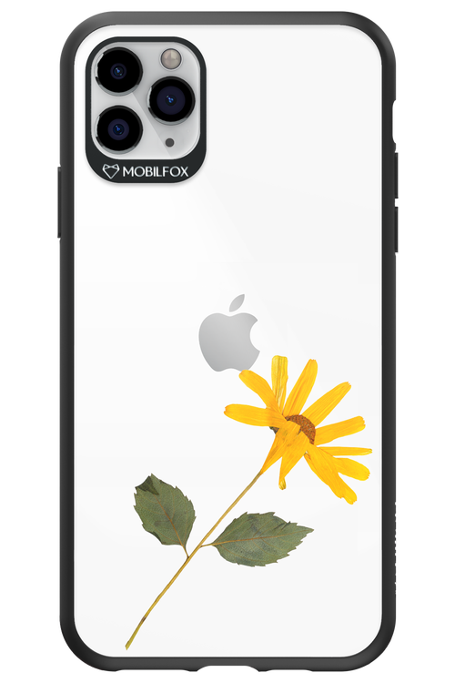 Pressed Flower - Apple iPhone 11 Pro Max