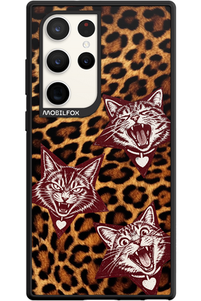 Cats and Chaos 2.0 - Samsung Galaxy S23 Ultra