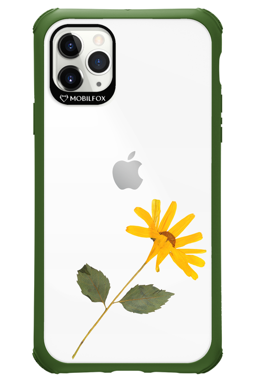 Pressed Flower - Apple iPhone 11 Pro Max