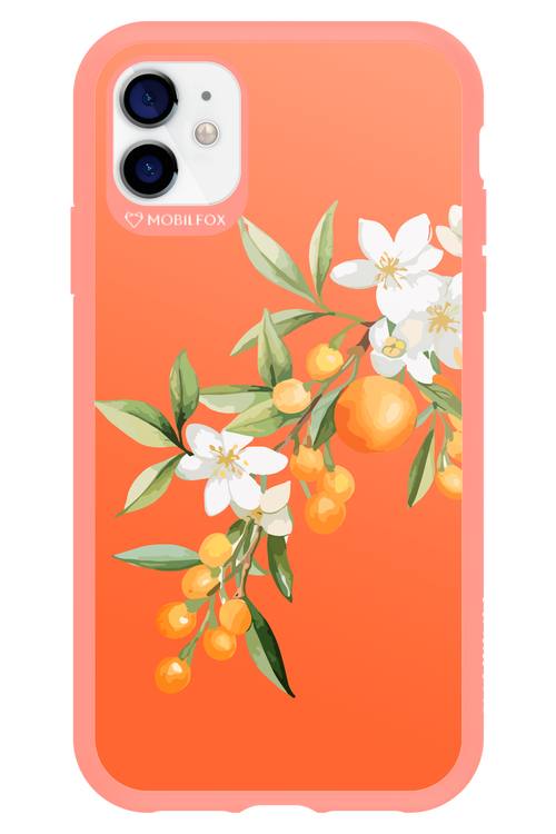 Amalfi Oranges - Apple iPhone 11