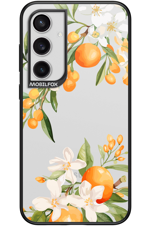 Amalfi Orange - Samsung Galaxy S24+