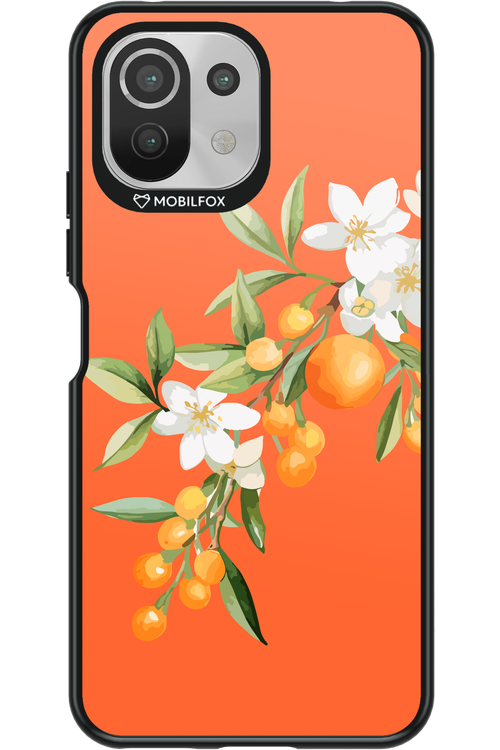 Amalfi Oranges - Xiaomi Mi 11 Lite (2021)
