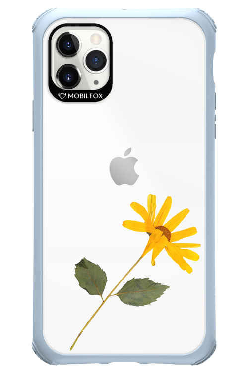 Pressed Flower - Apple iPhone 11 Pro Max
