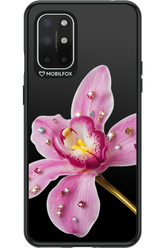 Pink Hibiscus 2.0 - OnePlus 8T