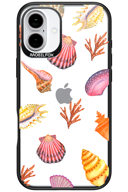 Sea Shells - Apple iPhone 16 Plus