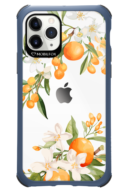 Amalfi Orange - Apple iPhone 11 Pro