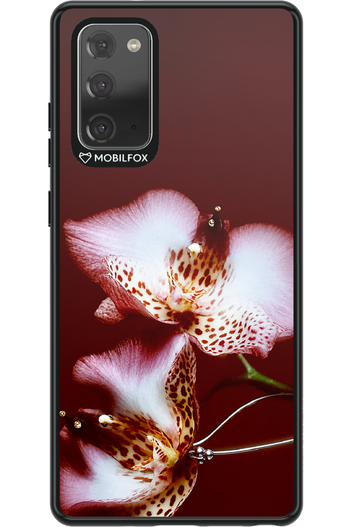 Leobloomy 2.0 - Samsung Galaxy Note 20