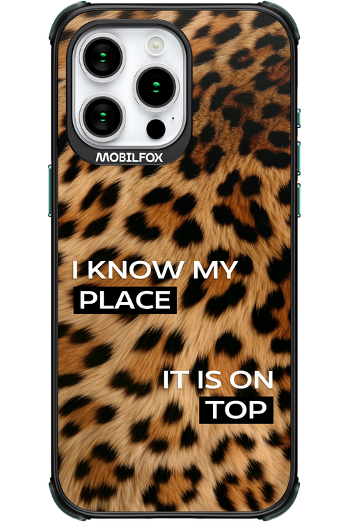 My Place - Apple iPhone 15 Pro Max