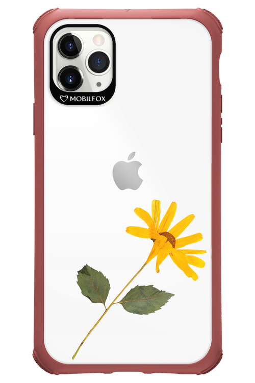 Pressed Flower - Apple iPhone 11 Pro Max