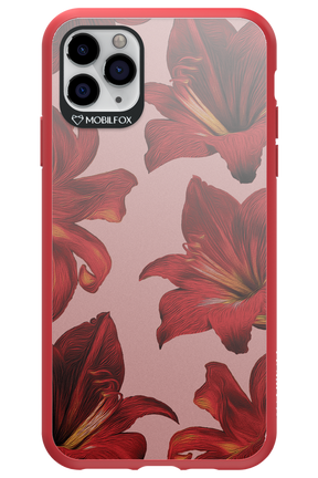 Amaryllis Mist - Apple iPhone 11 Pro Max