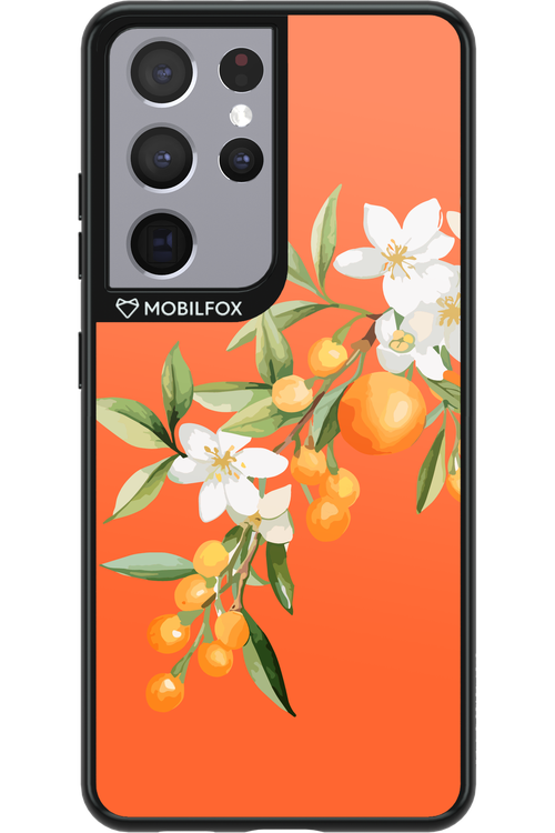 Amalfi Oranges - Samsung Galaxy S21 Ultra