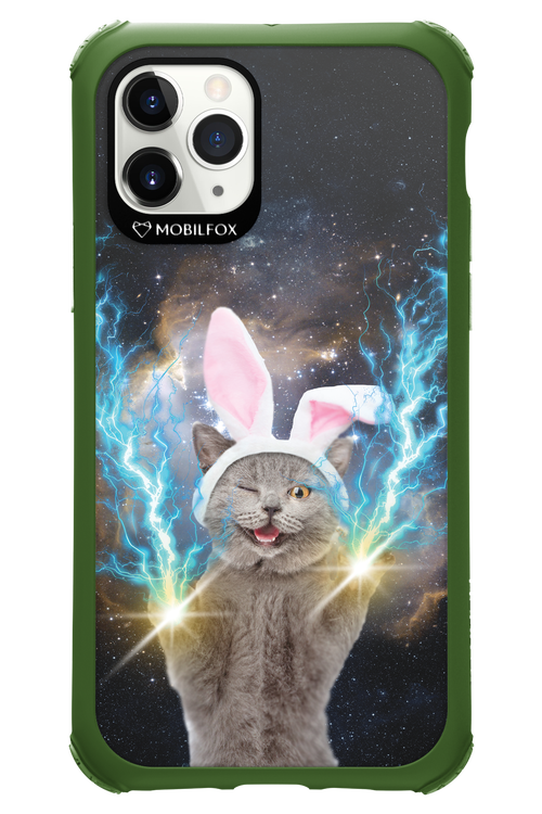 Destroy Cat - Apple iPhone 11 Pro