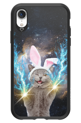 Destroy Cat - Apple iPhone XR