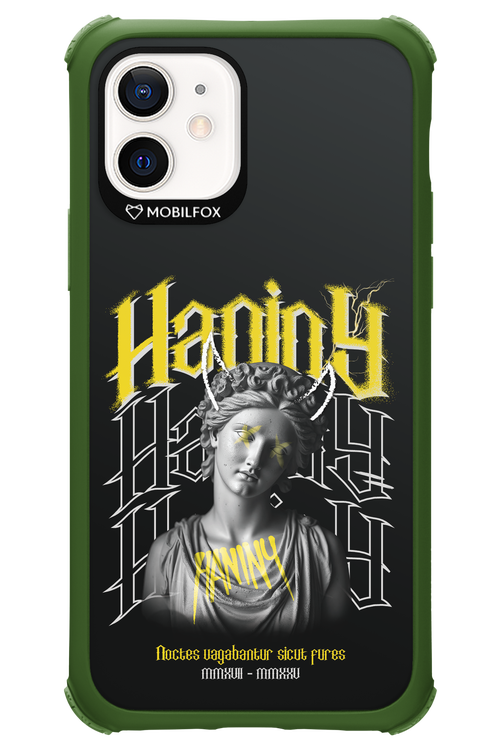 Haniny Icon (black) - Apple iPhone 12