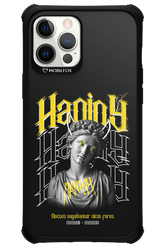 Haniny Icon (black) - Apple iPhone 12 Pro Max