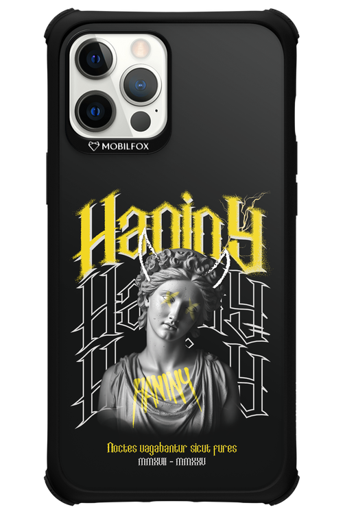 Haniny Icon (black) - Apple iPhone 12 Pro Max