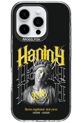 Haniny Icon (black) - Apple iPhone 16 Pro