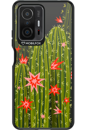 Cactus bloom 2.0 - Xiaomi Mi 11T