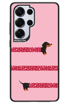 PAWS & KISSES 2.0 - Samsung S25 Ultra