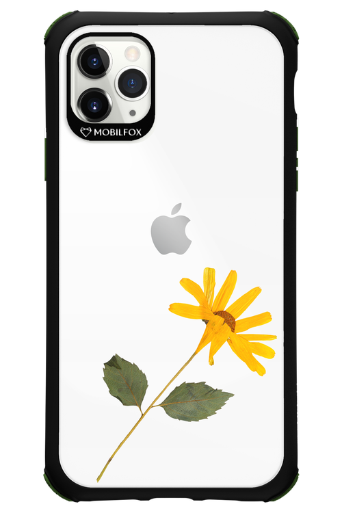 Pressed Flower - Apple iPhone 11 Pro Max
