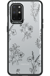 Bouquet - OnePlus 8T