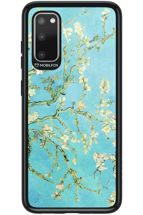 Almond Blossom - Samsung Galaxy S20
