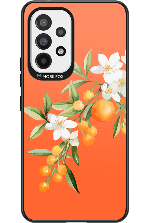 Amalfi Oranges - Samsung Galaxy A53
