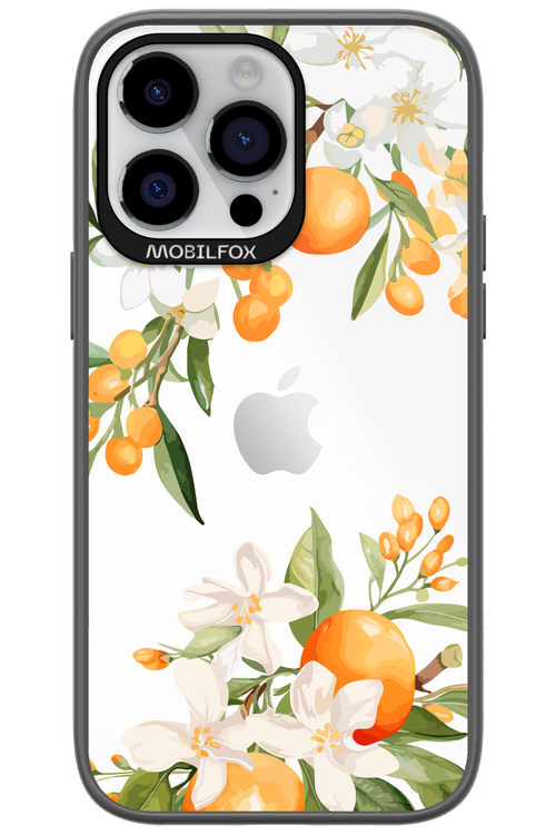 Amalfi Orange 2.0 - Apple iPhone 14 Pro Max