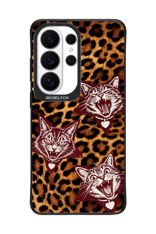 Cats and Chaos 2.0 - Samsung Galaxy S26 Ultra