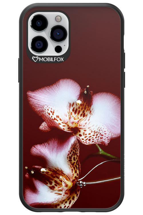 Leobloomy 2.0 - Apple iPhone 12 Pro