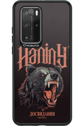 Bear Attack - Huawei P40 Pro
