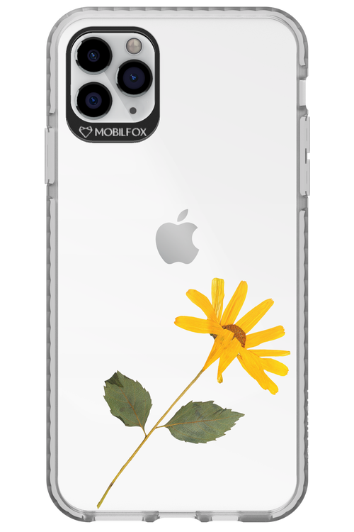 Pressed Flower - Apple iPhone 11 Pro Max