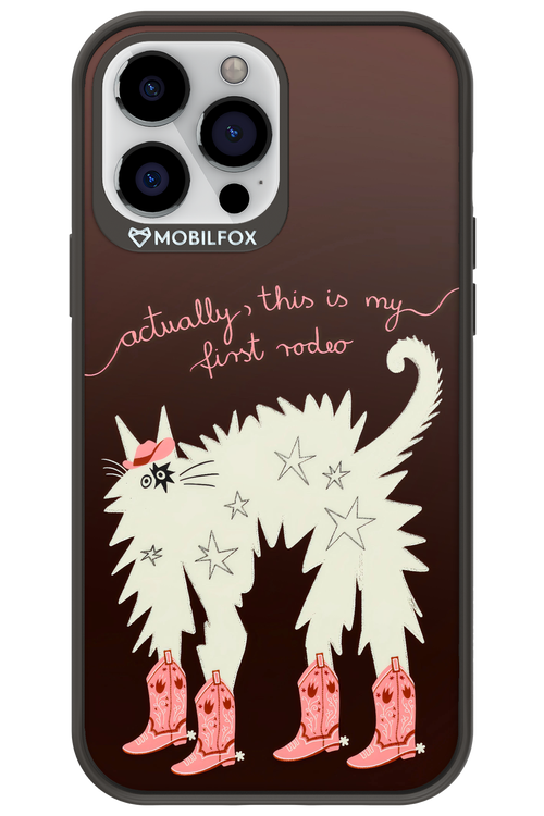 First rodeo 2.0 - Apple iPhone 13 Pro Max