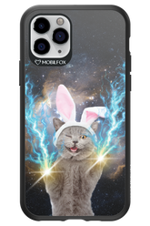 Destroy Cat - Apple iPhone 11 Pro