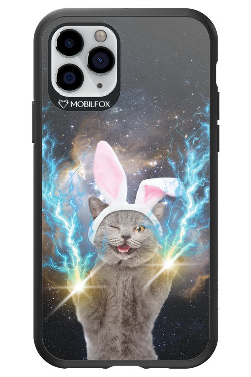 Destroy Cat - Apple iPhone 11 Pro