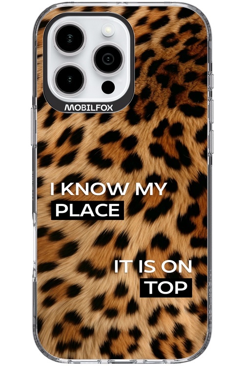 My Place - Apple iPhone 16 Pro Max