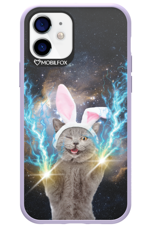 Destroy Cat - Apple iPhone 12