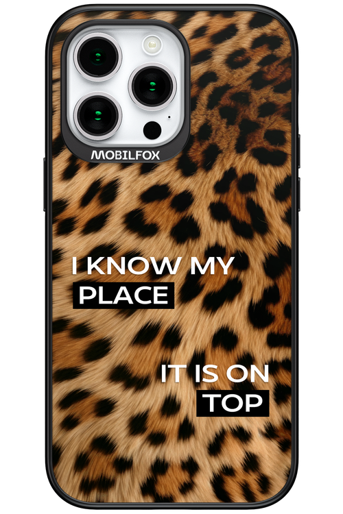 My Place - Apple iPhone 15 Pro Max
