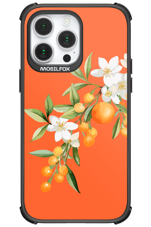 Amalfi Oranges - Apple iPhone 14 Pro Max