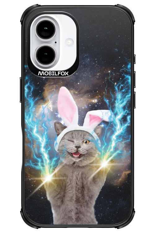 Destroy Cat - Apple iPhone 16