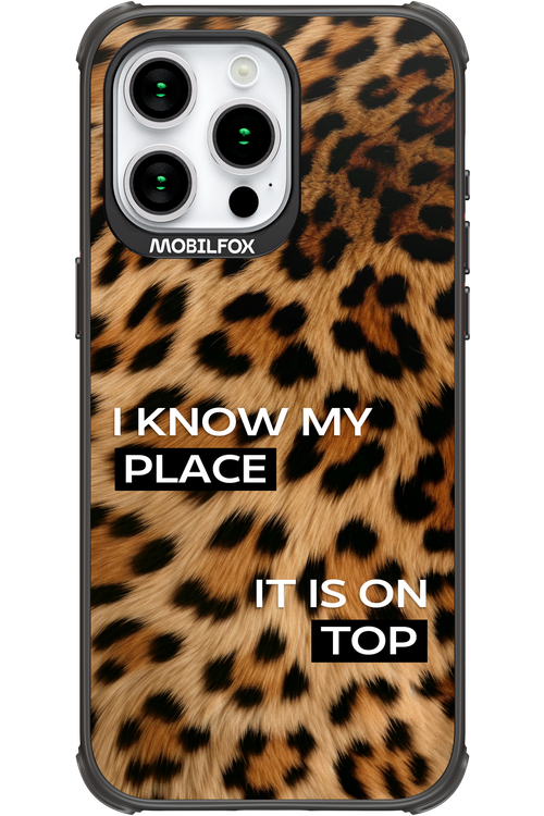 My Place - Apple iPhone 15 Pro Max