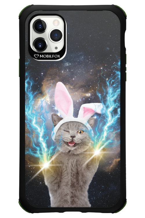 Destroy Cat - Apple iPhone 11 Pro Max